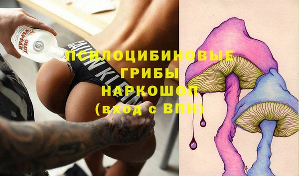 трава Елабуга