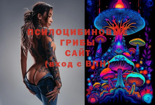 каннабис Елизово