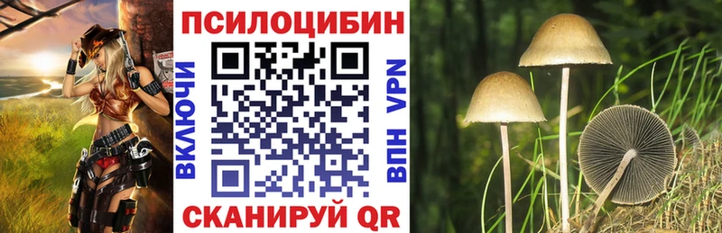 маркетплейс состав  Кизляр  Галлюциногенные грибы MAGIC MUSHROOMS 