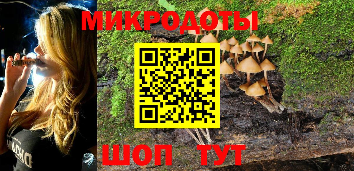 Псилоцибиновые грибы мухоморы  Галлюциногенные грибы мицелий  Кизляр  Вход с VPN 